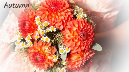 Autumn bridal flower bouquet with vibrant orange dahlias and white daisies.