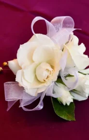 A white rose corsage with a sheer ribbon